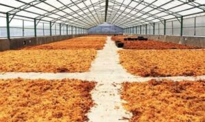 3fdf159d-f32e-4794-9572-e60ac3139165