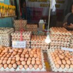 2f92eba0-80e8-4a35-a068-07560ec4e9ef