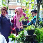 Dinkes PPU imbau masyarakat aktif gotong royong cegah DBD