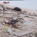 WhatsApp Image 2024-04-24 at 14.27.07_38beb170