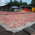 terasi-Berau