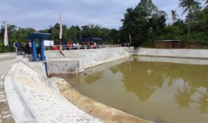 090c92a7-11c3-4306-9bc5-28cec7ff39ee