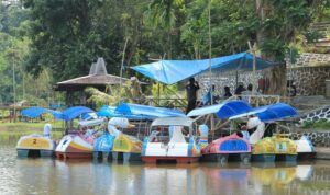 2f35519f-76e1-40f1-8f96-673f183dd0e3