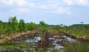 a97d0bb7-6009-478e-b6d8-a470f37f25b2