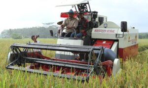 e74be665-5497-46c7-a758-fed94f09587a